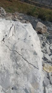 rbc Chemical kottayam