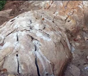 rbc chemicals kerala