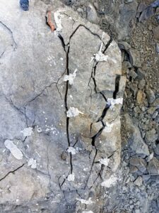 rbcChemical kottayam