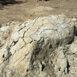 rbcchemicals ernakulam