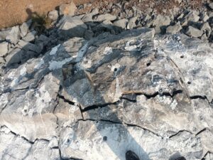 rbcchemicals thrissur